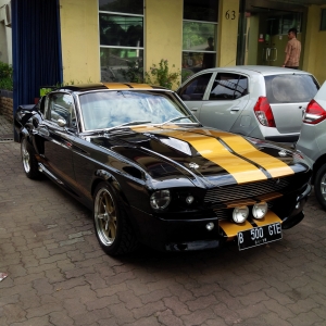 Black and Gold Eleanor